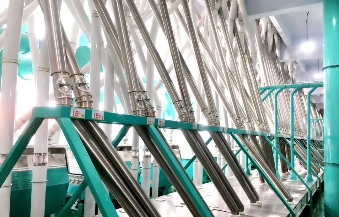 面粉加工設(shè)備多少錢一套?面粉加工成套設(shè)備多少錢?.jpeg 面粉加工設(shè)備多少錢一套?面粉加工成套設(shè)備多少錢?.jpeg